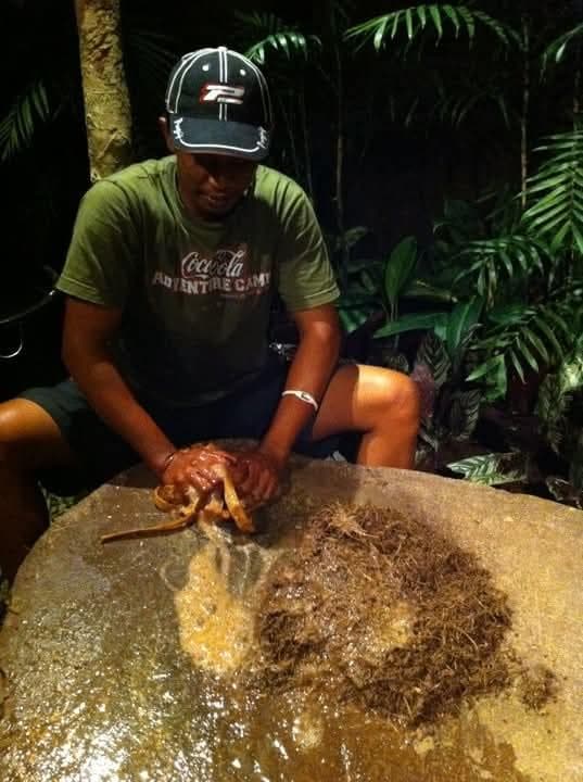 Placeholder image — Kava founder's note