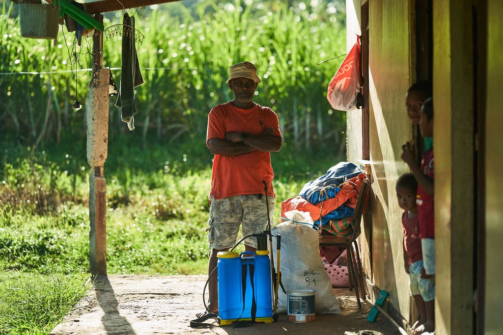 Partner-farm growers at a Pacific noble-varietal kava harvest